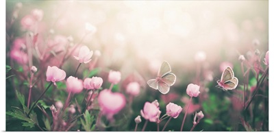 Wild Pink Flowers And Two Fluttering Butterflies Bathed In Sunlight In Nature