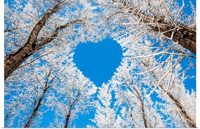 Winter landscape, branches forming a heart shape