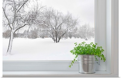 Winter Landscape Seen Through The Window With A Green Plant
