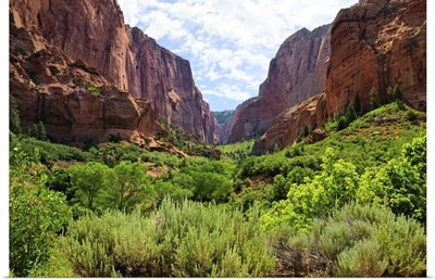 Zion National Park, View Through The Red Cliffs Of Kolob Canyon