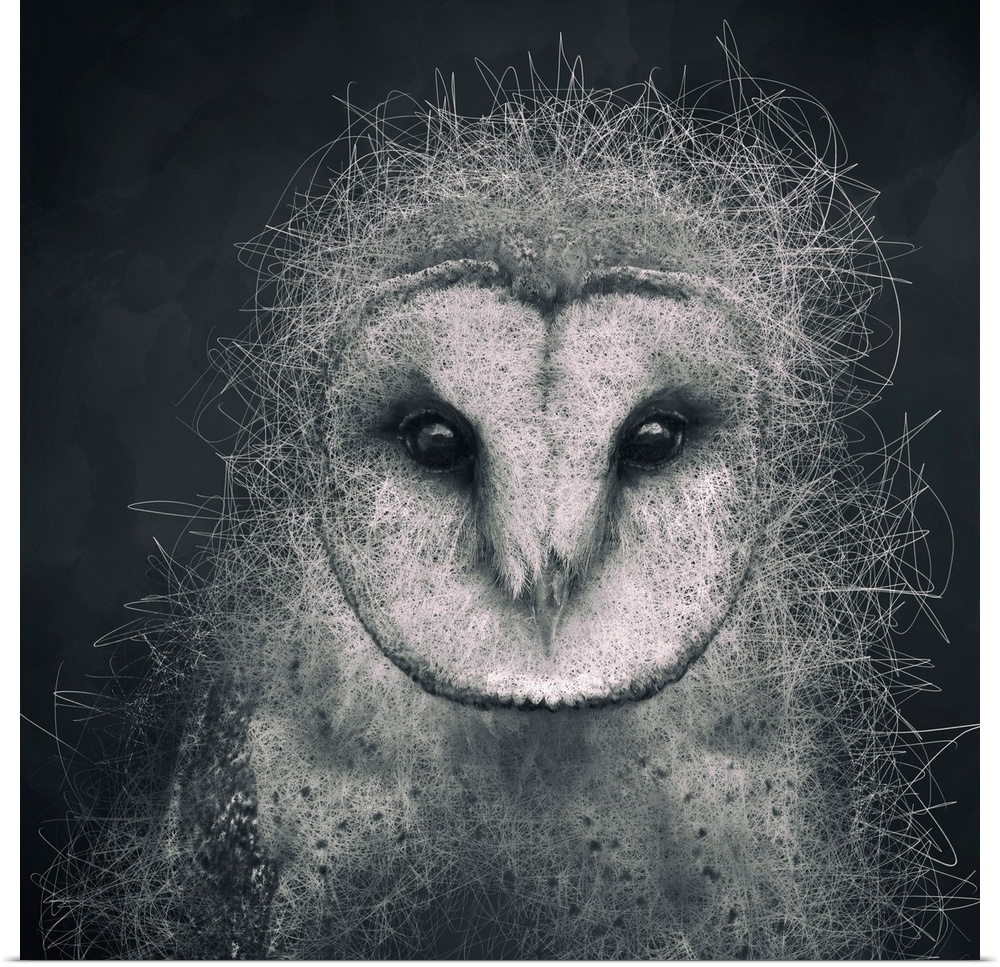Abstract depiction of an owl with lines, texture, black, white and grey.