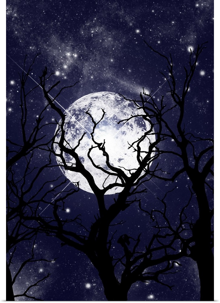 Silhouettes of bare trees in front of a large full moon and a night sky full of stars.