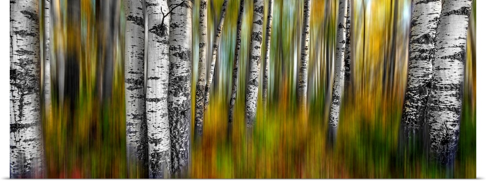 A two image abstract of a colorful fall forest with intentional motion blur.