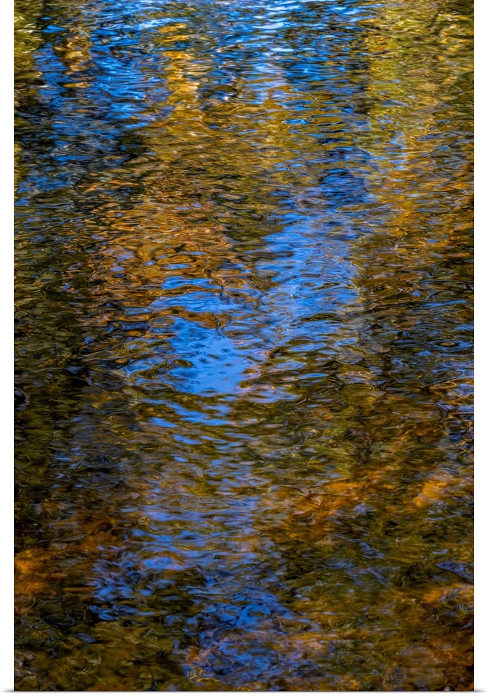 River Reflection