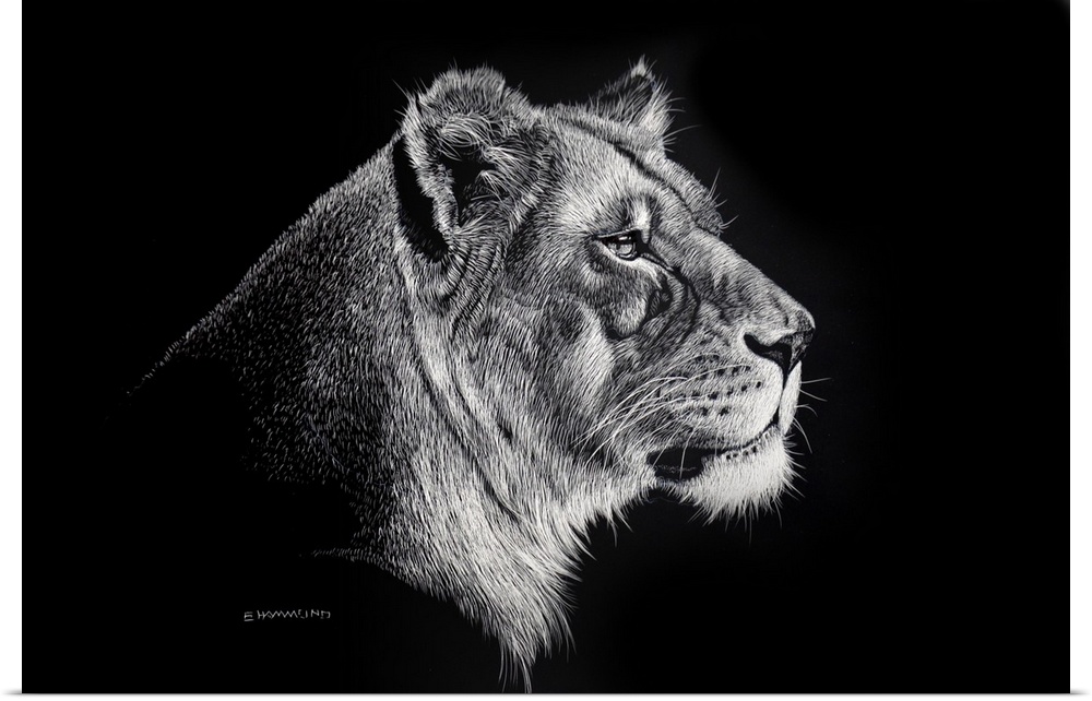 The power of this scratchboard is the beautiful eye of this Lioness. She is staring at her cubs and this piece shows the s...
