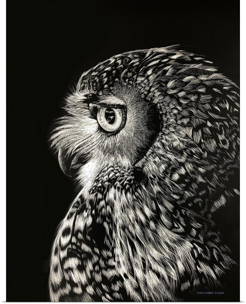 This scratchboard of a beautiful barred Owl Profile shows the amazing detail feathers around the huge eyes and a head full...
