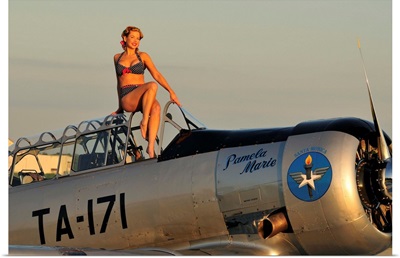 1940's style pin-up girl sitting on the cockpit of a World War II T-6 Texan