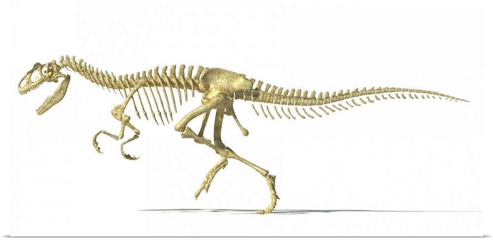 3D rendering of an Allosaurus dinosaur skeleton.