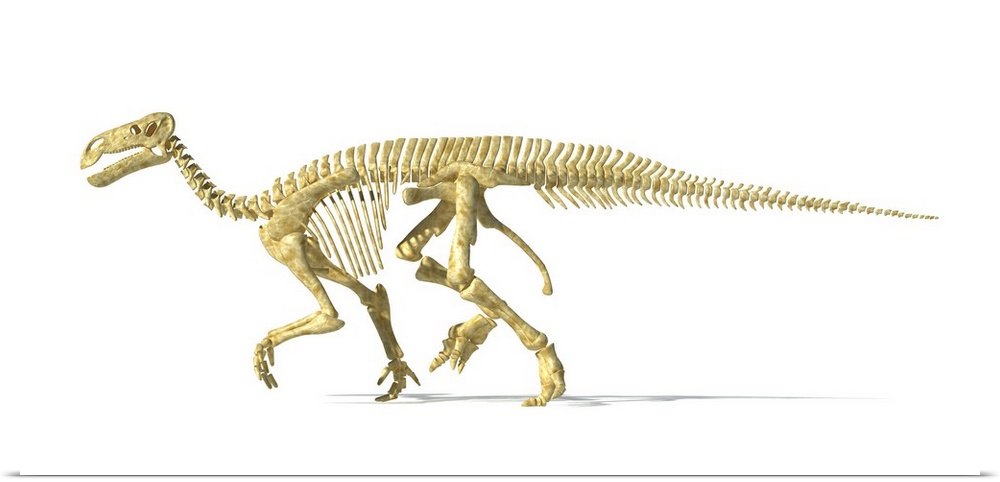 3D rendering of an Iguanodon dinosaur skeleton.