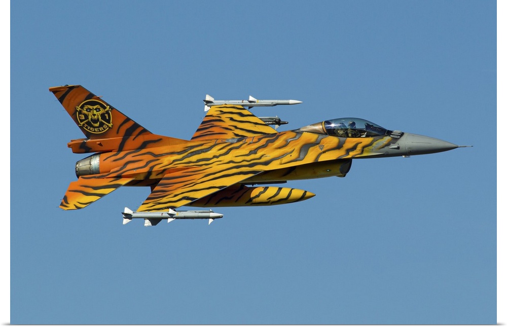 A Belgian Air Component F-16 Fighting Falcon, painted in tiger colors for the NATO Tiger Meet, in flight with live AMRAAM ...