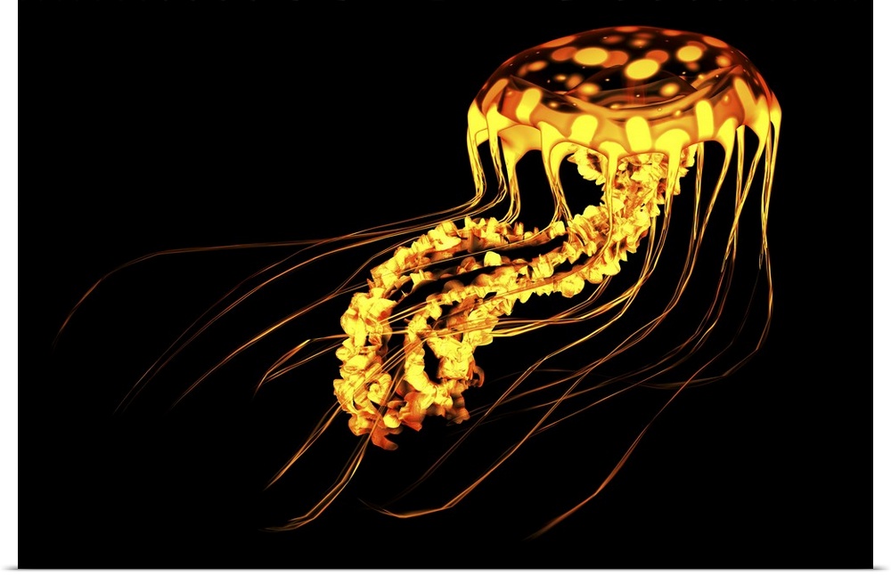 A brightly colored jellyfish swims in deep ocean waters with bioluminescence.