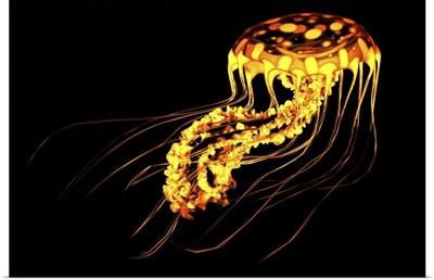 A brightly colored bioluminescent jellyfish