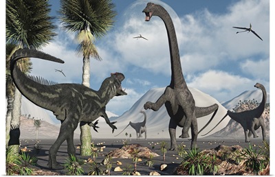A carnivorous Allosaurus confronts a giant Diplodocus herbivore