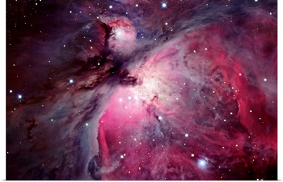 A close up of the Orion Nebula
