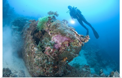 A diver explores the wreck of a US truck, Solomon Islands