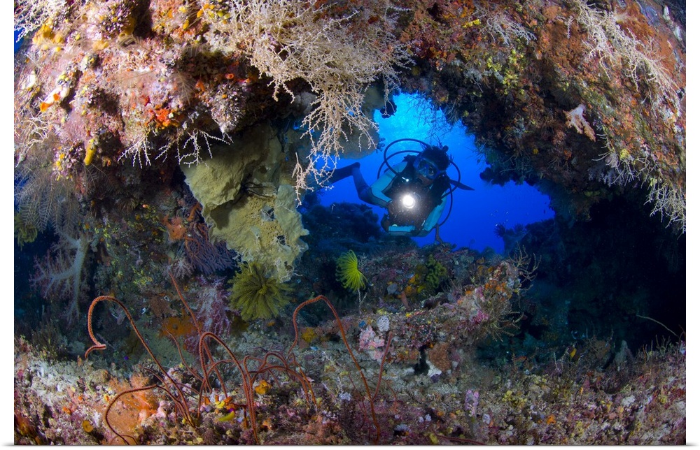 A diver peers through a coral encrusted archway, Papua New Guinea.