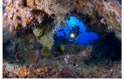 A diver peers through a coral encrusted archway, Papua New Guinea