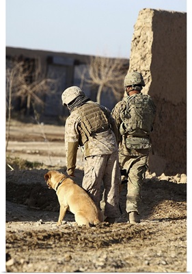 A Dog Handler Takes Care Of His Military Working Dog