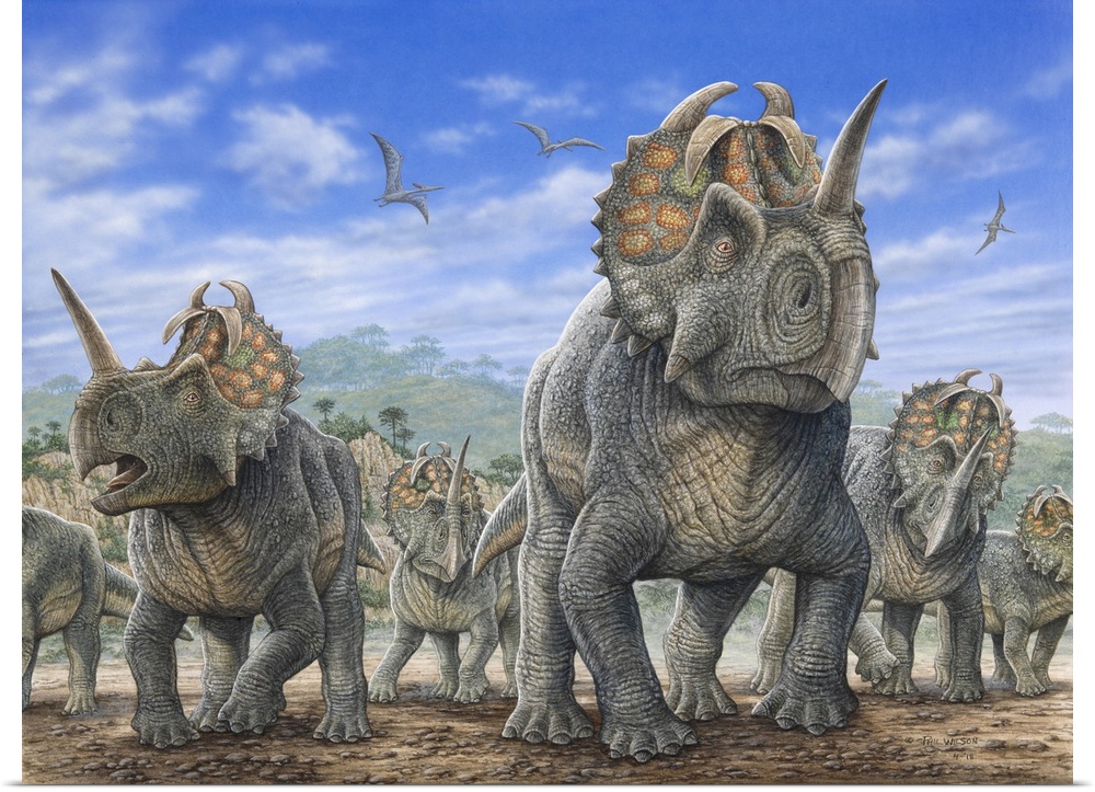 A herd of Centrosaurus dinosaurs.