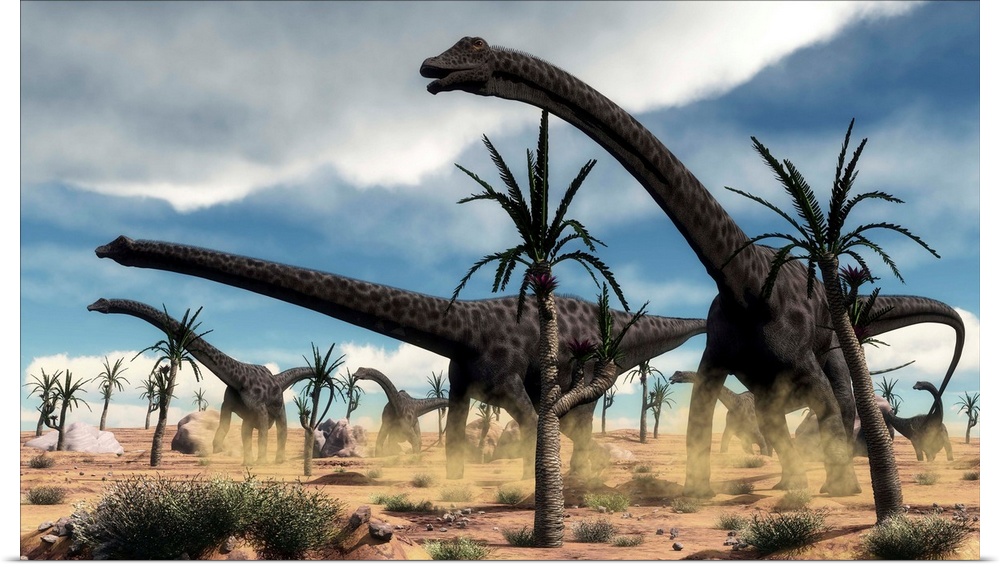 A herd of Diplodocus dinosaurs walking in a desert landscape.