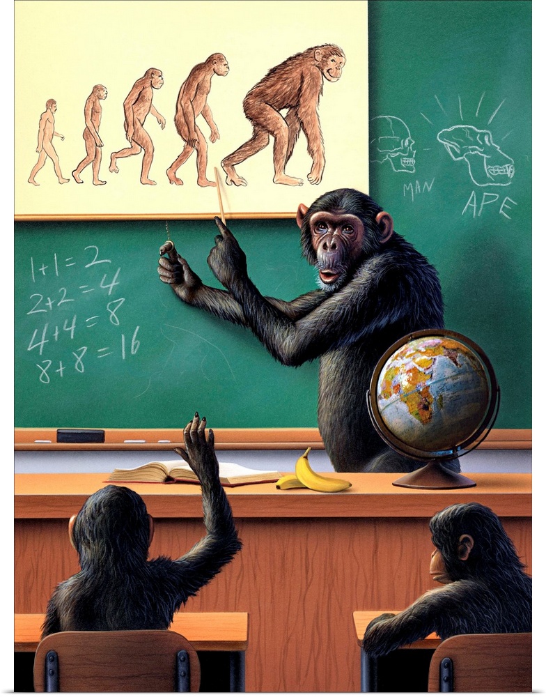 A humorous view of the reverse evolution of man.