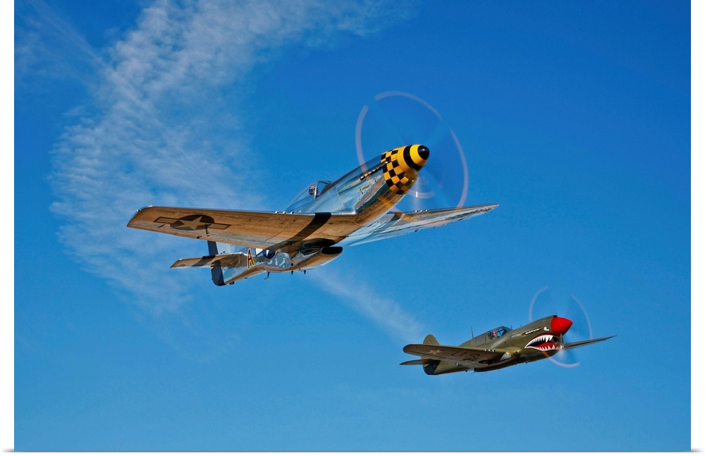 A North American P-51D Mustang Kimberly Kaye and a Curtiss P-40E Warhawk in flight near Chino, California.