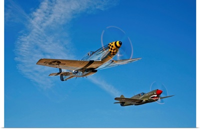 A P-51D Mustang Kimberly Kaye and a P-40E Warhawk in flight
