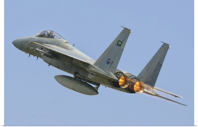A Royal Saudi Air Force F-15C during Exercise Green Shield 2014 in France