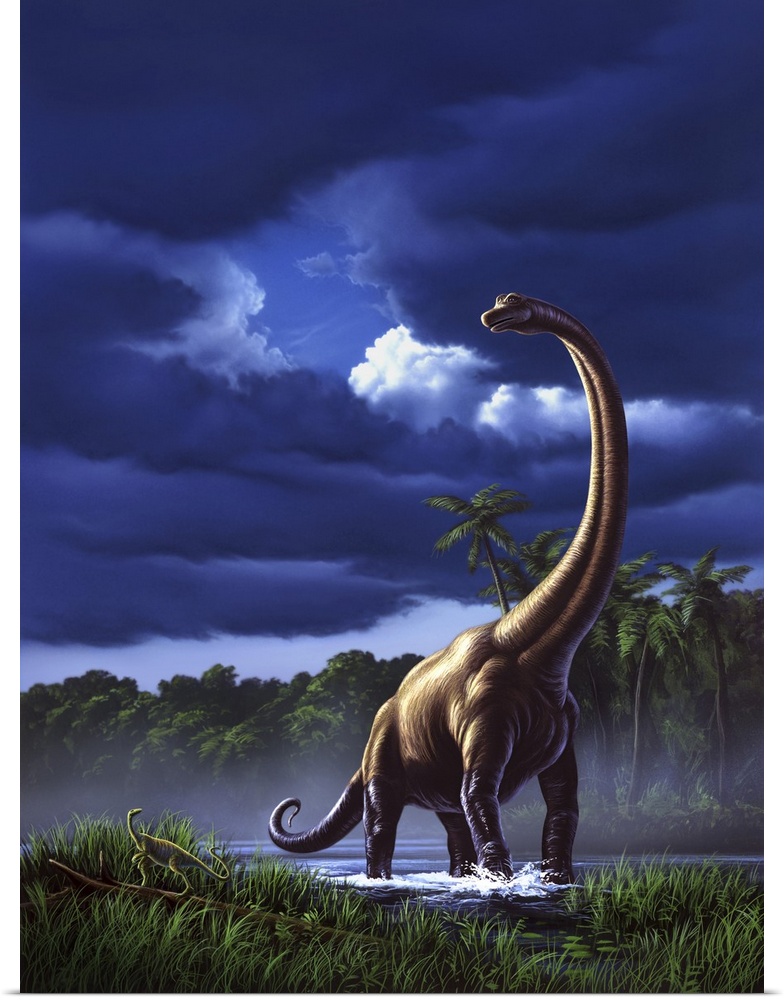 A startled Brachiosaurus splashes through a swamp against a stormy sky.