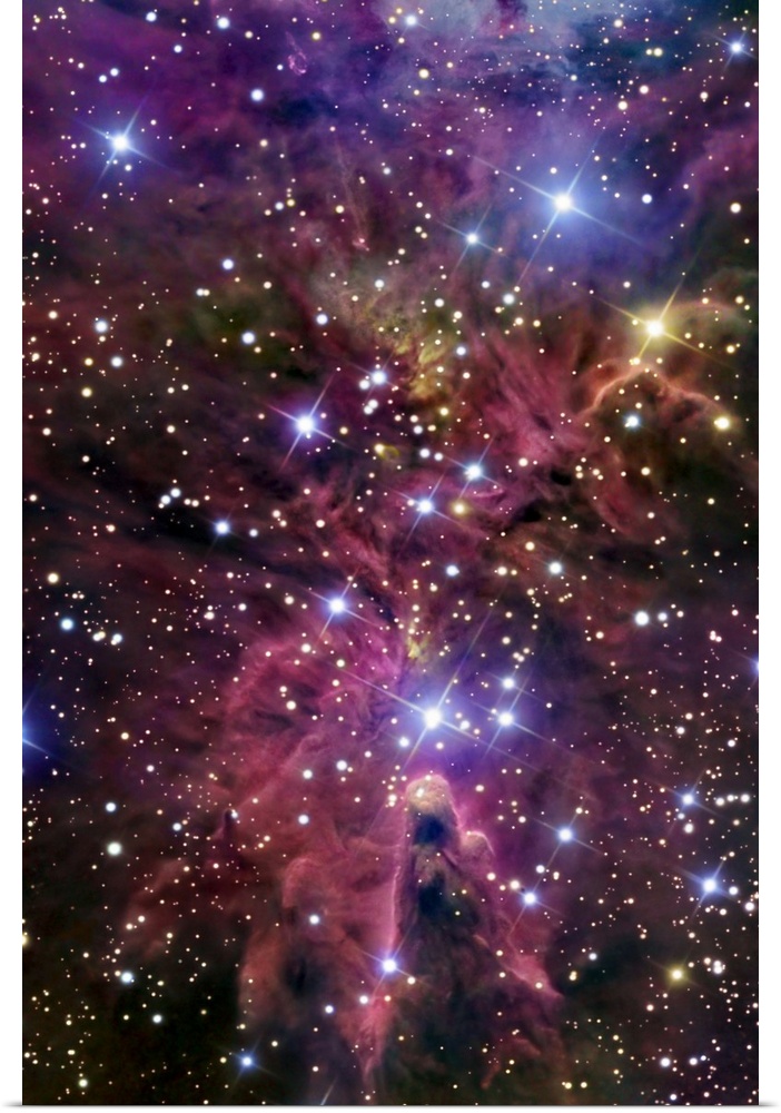This large piece consists of a cluster of bright stars with warm colored gases throughout.
