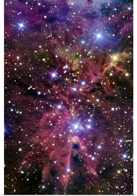 A stellar nursery located towards the constellation of Monoceros
