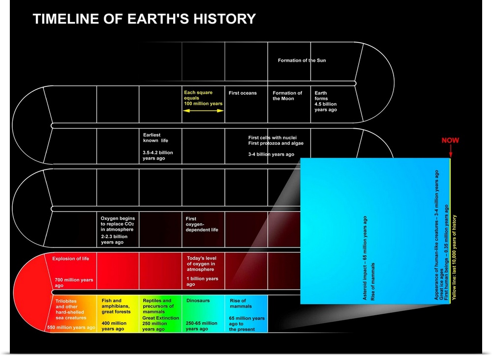 A timeline of Earth's history.