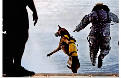 A U.S. Soldier and his military working dog jump off the ramp of a CH-47 Chinook