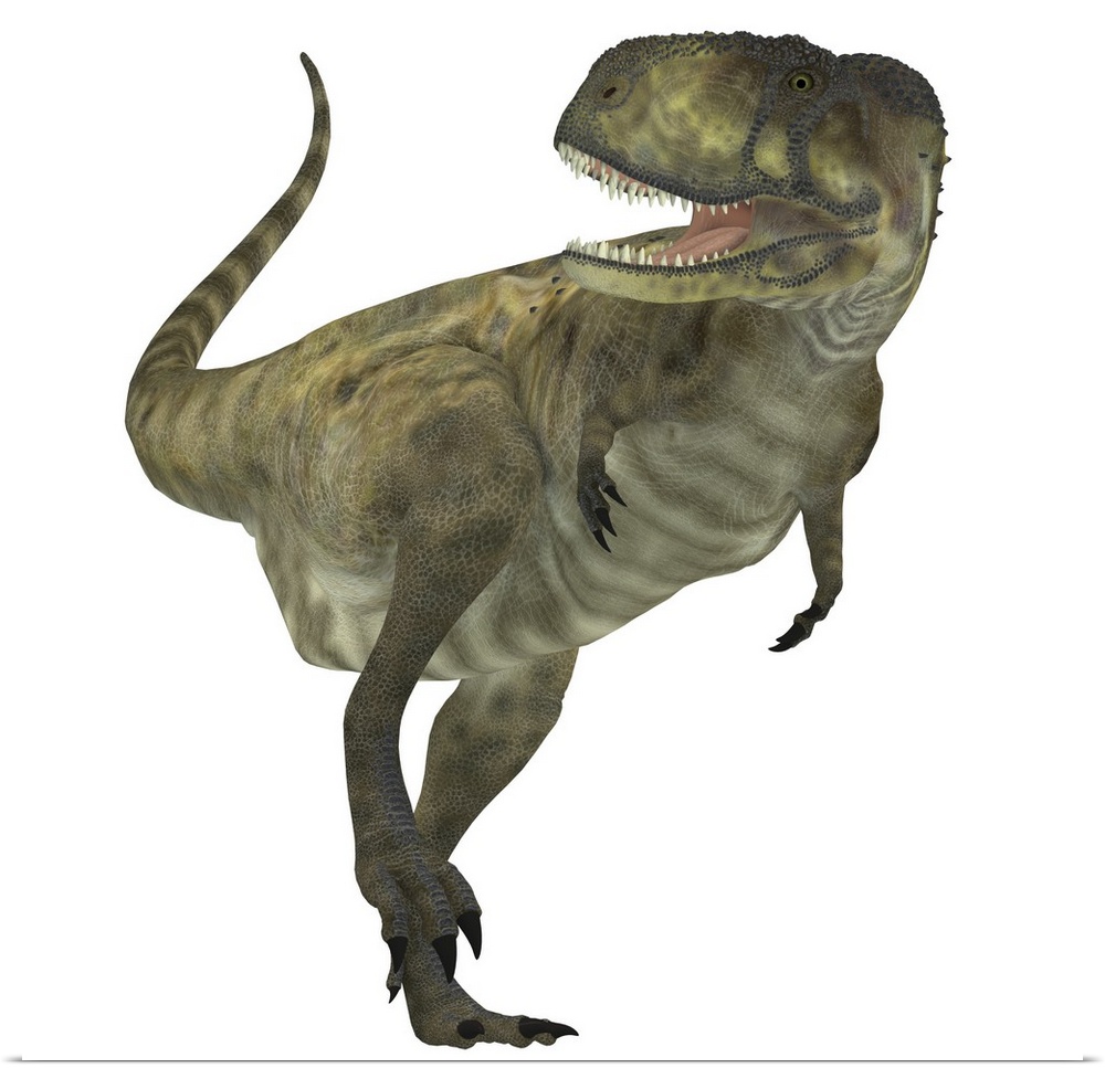 Abelisaurus dinosaur. Abelisaurus was a carnivorous theropod dinosaur that lived in the Cretaceous Period of Argentina.