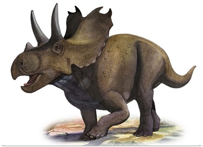 Agujaceratops mariscalensis, a prehistoric era dinosaur