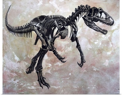 Allosaurus dinosaur skeleton