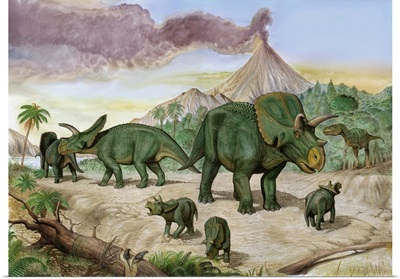 An Albertosaurus observes a family of Arrhinoceratops