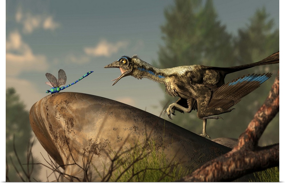 An Archaeopteryx stalks a dragonfly on a rock.