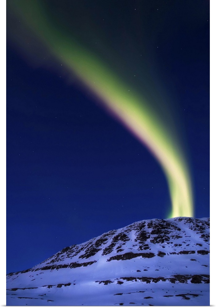 A magnificent display of aurora borealis shooting up from Toviktinden Mountain in Troms County, Norway. Auroras are the re...