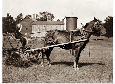 An Eight Year Old Farm Boy Sitting On A Horse Drawn Hay Rake, 1915