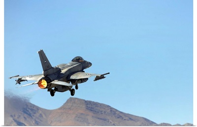 An F16E from the United Arab Emirates taking off at Nellis Air Force Base Nevada