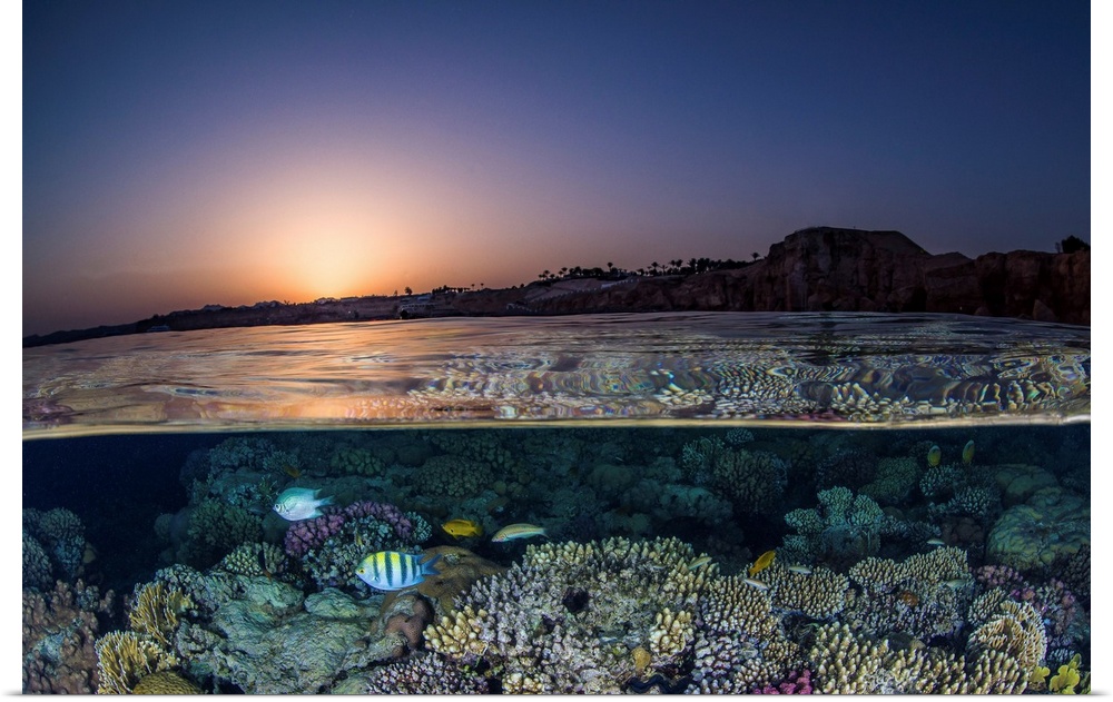 An over under of the sunset in the Red Sea and a coral reef.