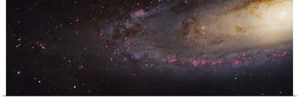 M31 Andromeda Galaxy Mosaic. This mosaic covers 1/3 of the star forming disk of the Andromeda Galaxy and fully resolves 11...