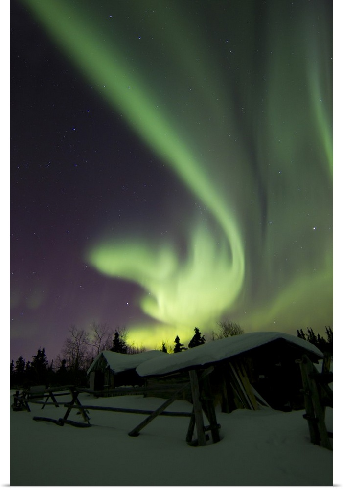 Aurora borealis and the Big Dipper light up the sky above a log cabin at Whitehorse, Yukon, Canada.