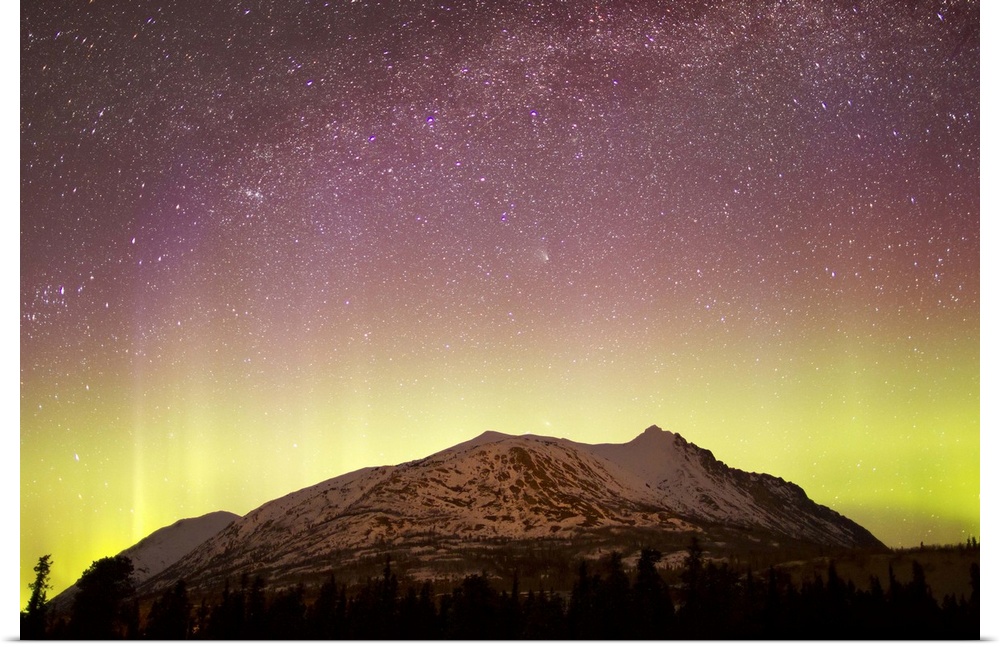 Aurora Borealis, Comet Panstarrs and Milky Way over Carcross Dessert, Carcross, Yukon, Canada.