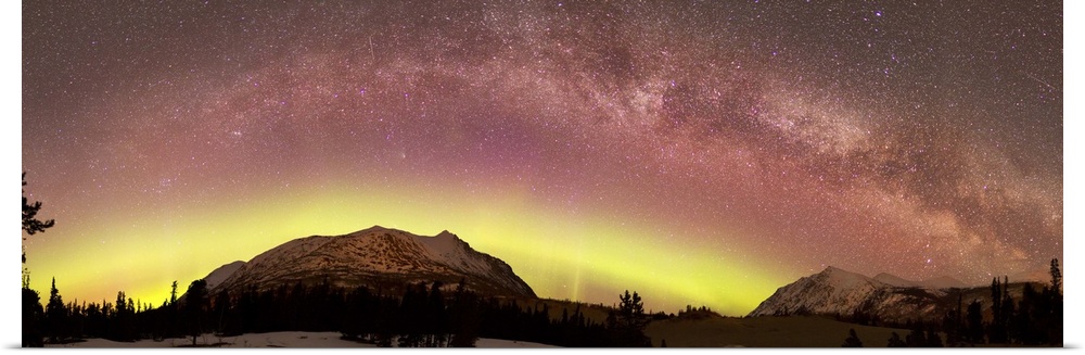 Aurora borealis, Comet Panstarrs, Shooting Star and Milky Way over Carcross Desert, Carcross, Yukon, Canada.