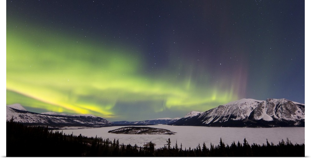 Aurora borealis over Bove Island, Windy Arm, Carcross, Yukon, Canada.