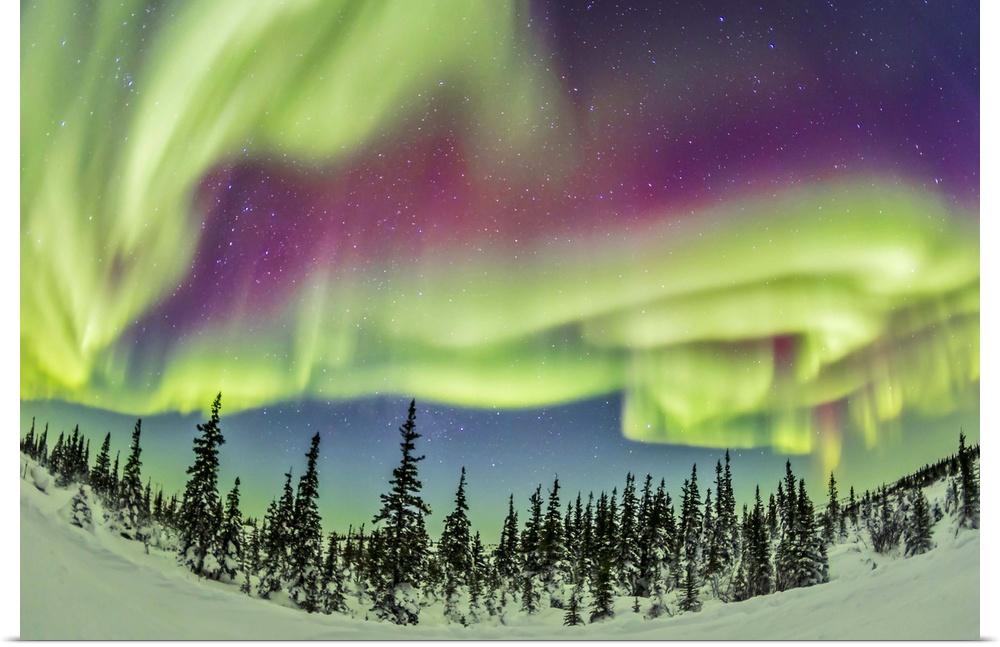 February 21, 2015 - Aurora borealis over Churchill, Manitoba, Canada.