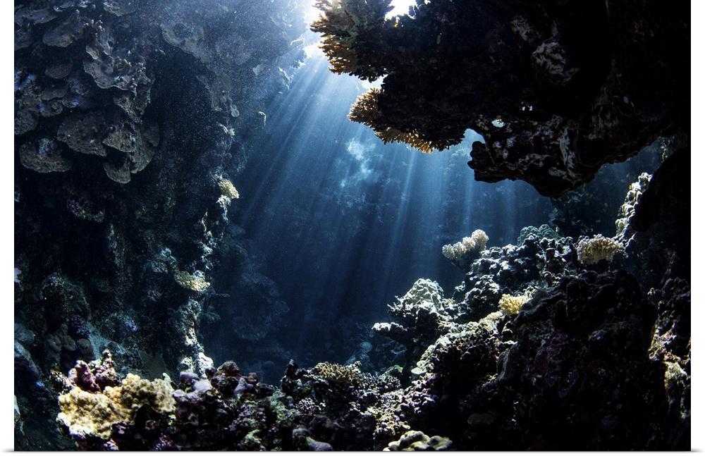 Beams from the sun illuminate underwater caverns, Red Sea.