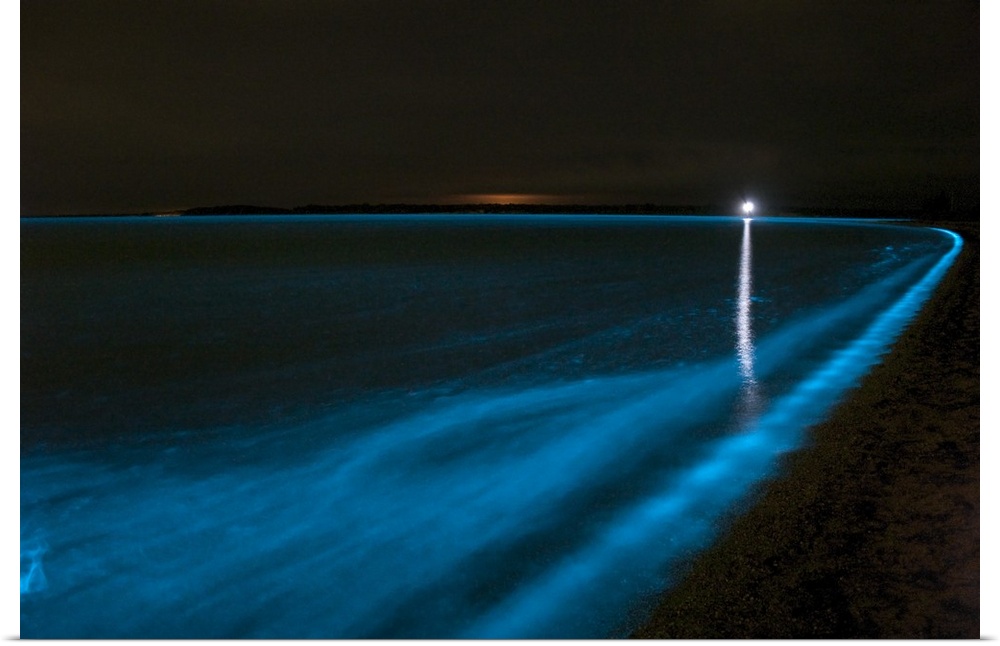 Bioluminescence in waves in the Gippsland Lakes, Victoria, Australia.